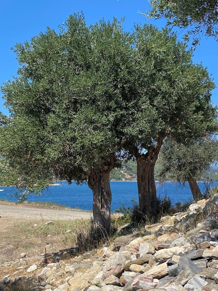 01 facilities.flora_and_fauna