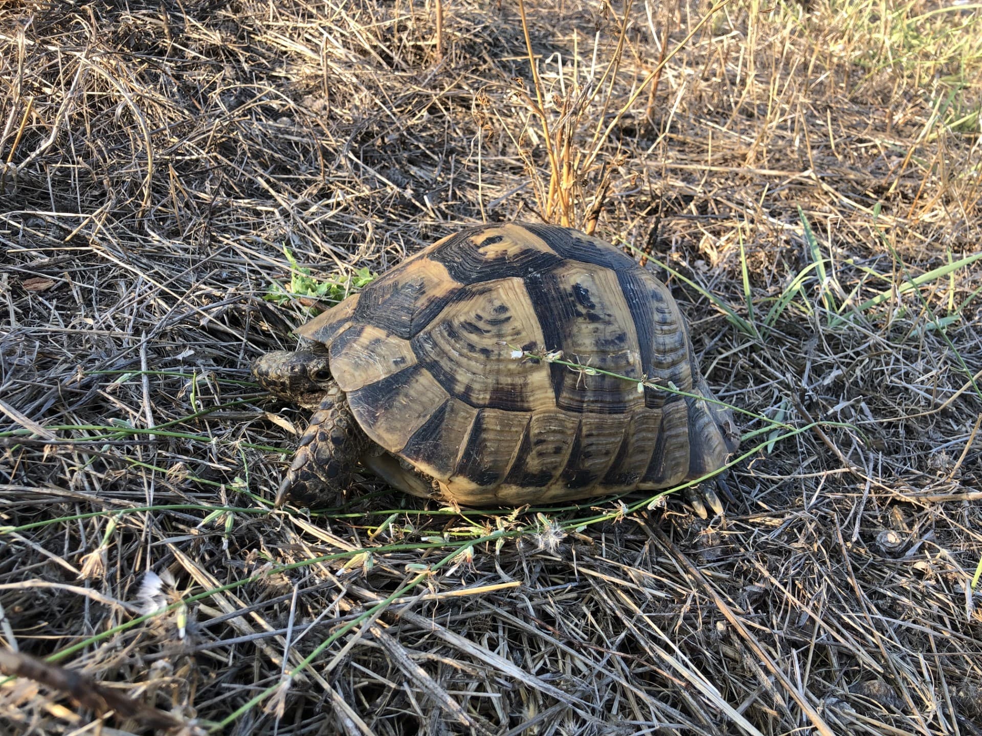 02 facilities.flora_and_fauna