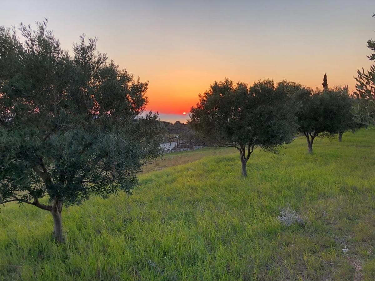 0 panoramic_view.main_gallery